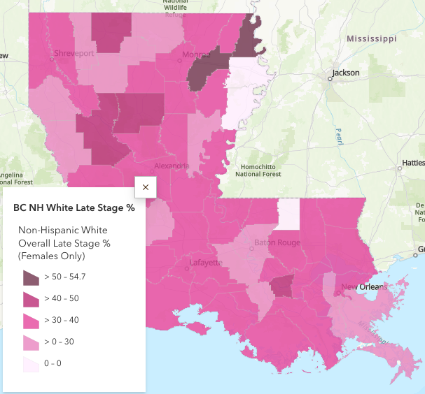 Non-Hispanic White Late Stage Diagnosis